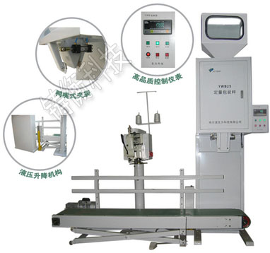 雙斗單頭定量包裝秤